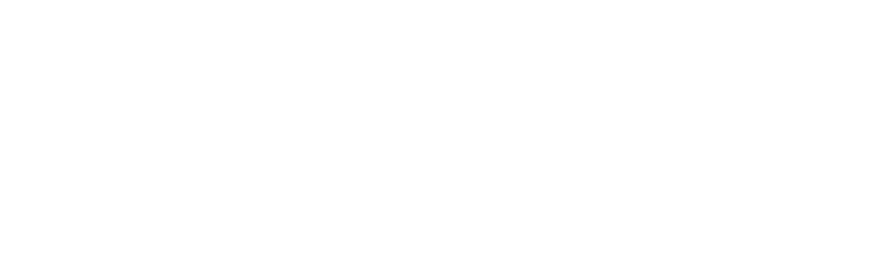 KTE Interliner logo